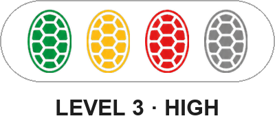 Level 3 — High